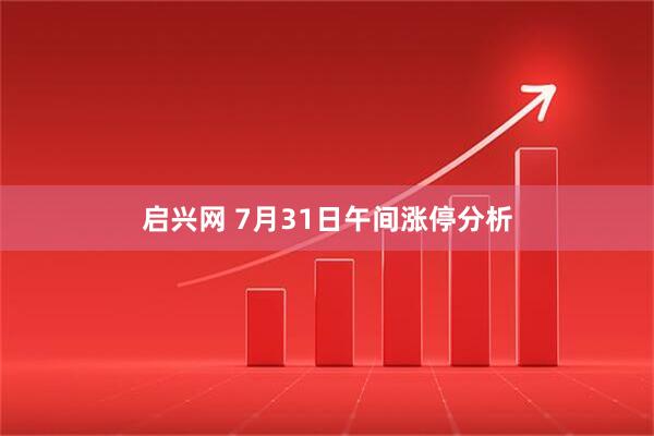 启兴网 7月31日午间涨停分析