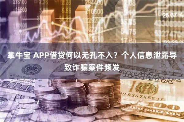 掌牛宝 APP借贷何以无孔不入？个人信息泄露导致诈骗案件频发
